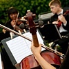 Divisi_Strings