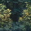 Side Path