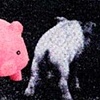 Pig in Pink