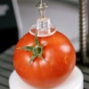Tomato fields and Squeeze-o-meter
