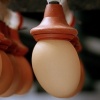 The Country Hen Organic Eggs