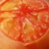 Tomato Hybrid 