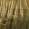 Plastic Sunset
