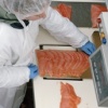 Acme Smoked Fish 