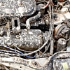 Honda Motor.