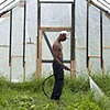 Watering in Greenhouse.