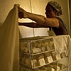 Aging Goat Cheese.