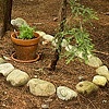 Rock Garden