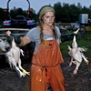 Plucked Chickens.