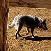 Ben Wever Farm