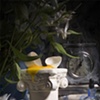 Untitled 6: from the series Penny Dreadful