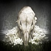 Untitled 10: from the series Elegy