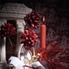 Untitled 5: from the series Penny Dreadful