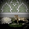 Untitled 21: from the series Elegy