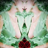 Untitled 4: from the series Curio