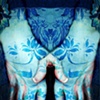 Untitled 8: from the series Curio