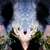 Untitled 6: from the series Curio