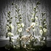 Untitled 1: from the series Elegy