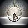 Flutter: from the series Gestate