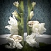 Untitled 18: from the series Elegy