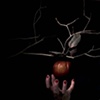Untitled 24: from the series Luminol
