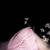 Untitled 6: from the series Luminol