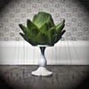 Induce: from the series Gestate