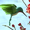 Menagerie