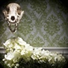 Untitled 14: from the series Elegy
