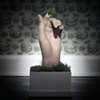 Nourish: from the series Gestate