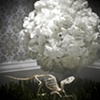 Untitled 2: from the series Elegy
