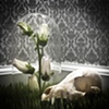 Untitled 5: from the series Elegy