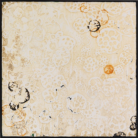 Colonies, and How They Grow (right)