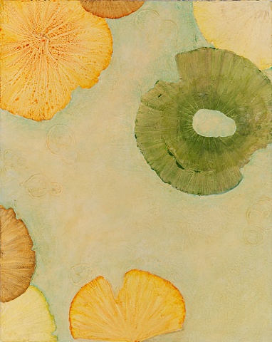 Lotus Lake 4