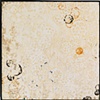 Colonies, and How They Grow