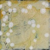 View From Above 1