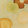 Lotus Lake 3