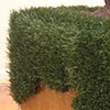 Dirt Crown (detail)