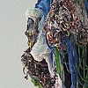 Untidal (Wave)