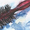 Red Hairbrush