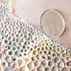 Patterns