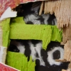 Utopia Almost Detail 
