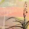 Seed