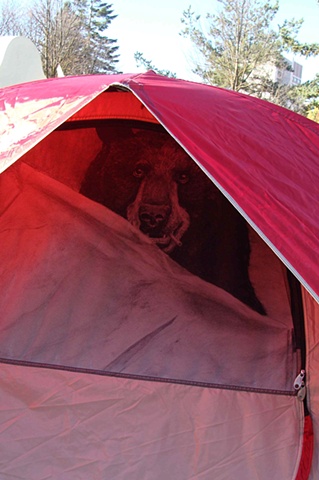 bear at the tent show