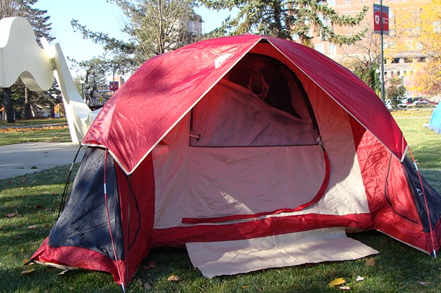 bear at the tent show