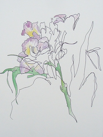 unknown flower