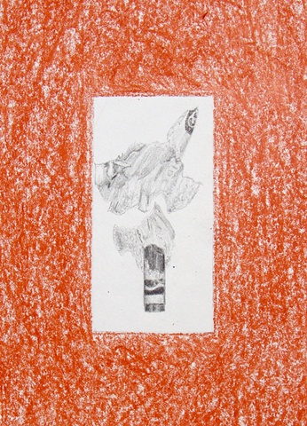 bittersweet  (detail 2)