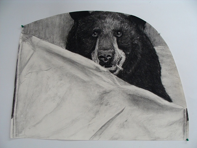 bear at the tent show