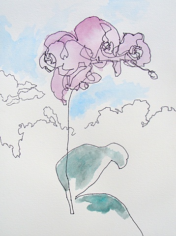 An Orchid with the Perceived Edge of the Formless