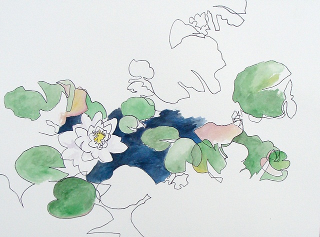 water lilies (I)